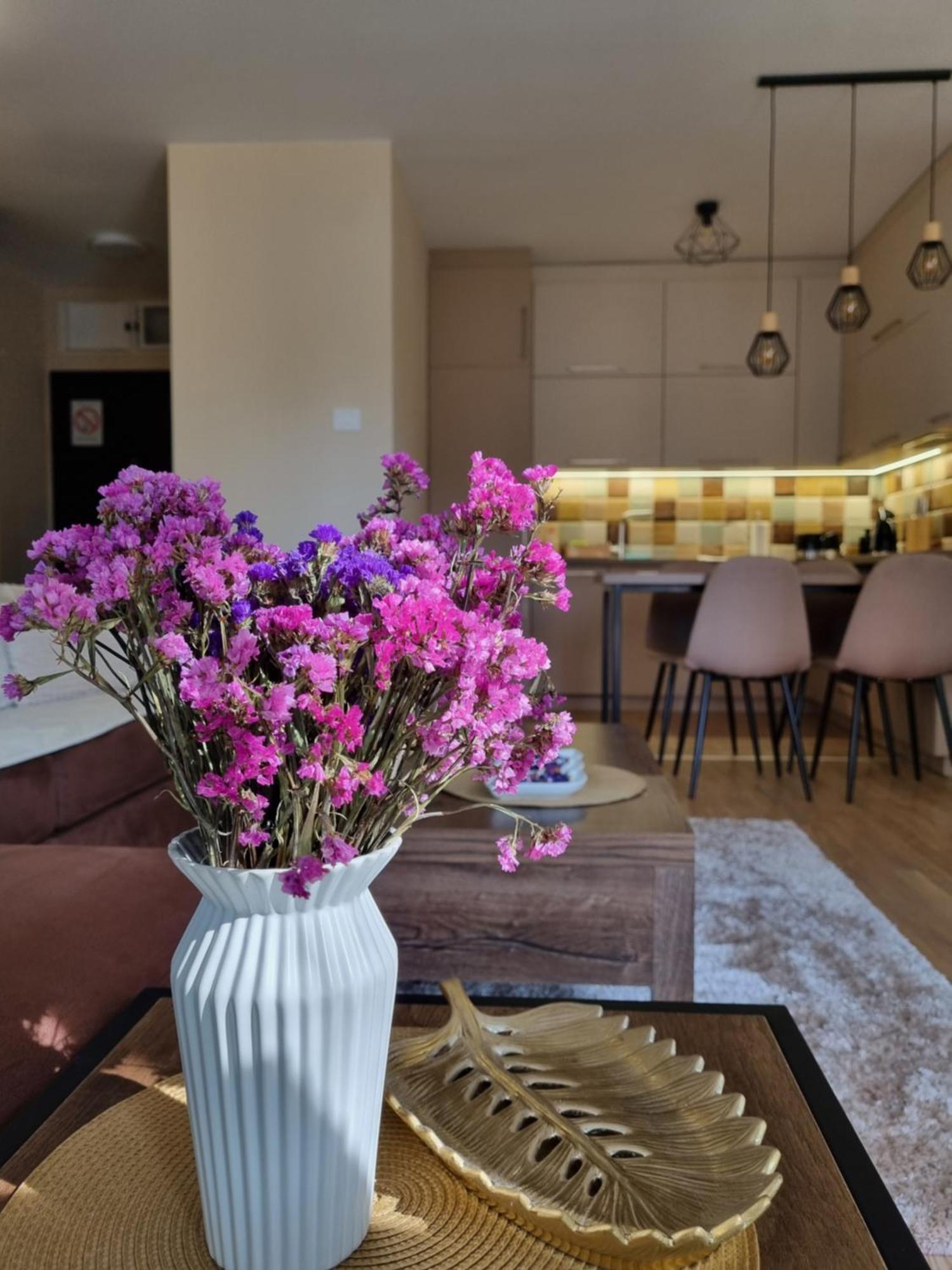 Stella Apartment ซูโบติกา ภายนอก รูปภาพ